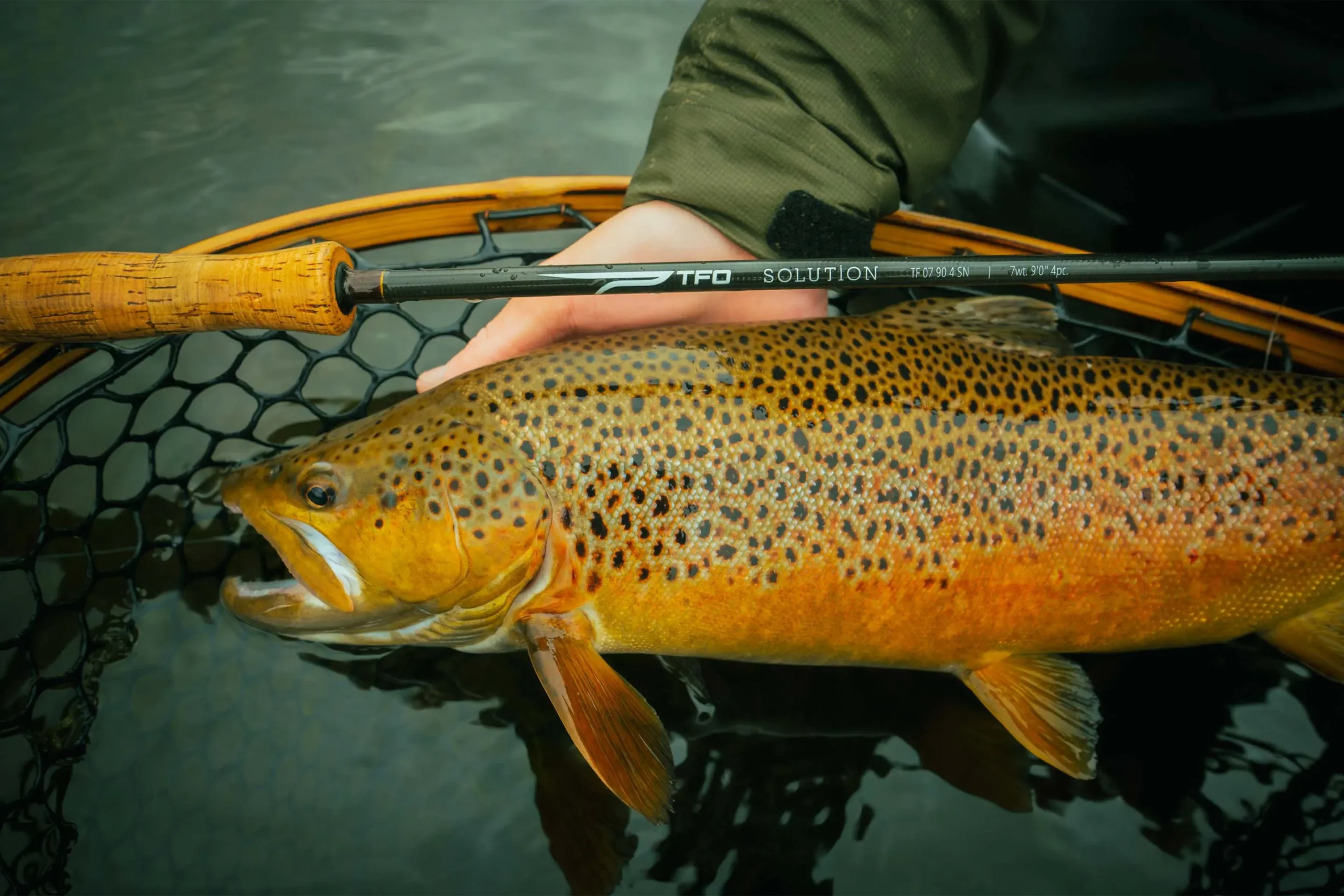 Solution Main scaled